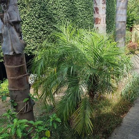 Oxford Rise Apartment Bayswater Bagian luar foto