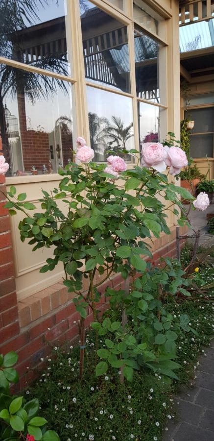 Oxford Rise Apartment Bayswater Bagian luar foto
